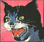 Cover von Aiga Rasch